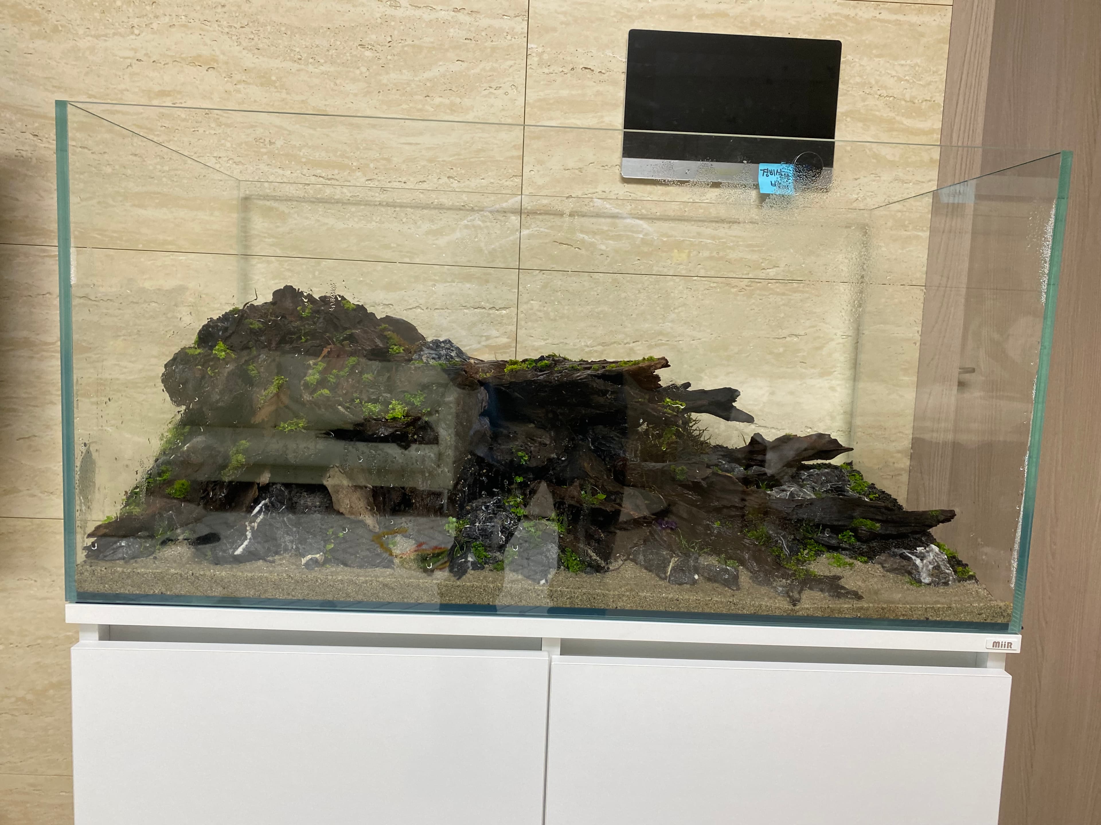 리뷰 이미지 2